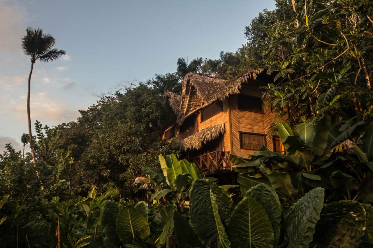 Shared room in the Jungle Rooms